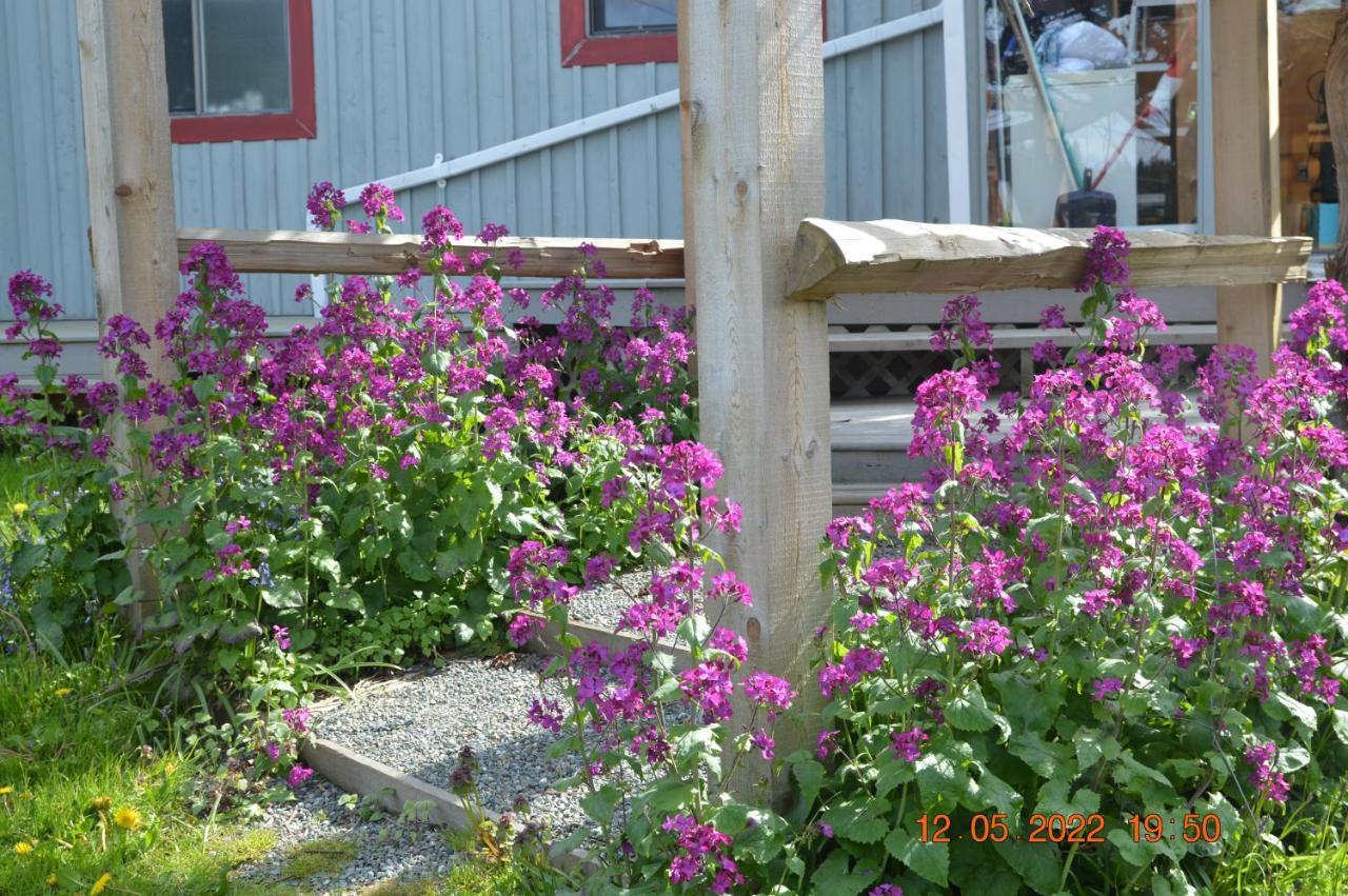 Estuary House Reflexology B&B กูร์เตอเนย์ ภายนอก รูปภาพ